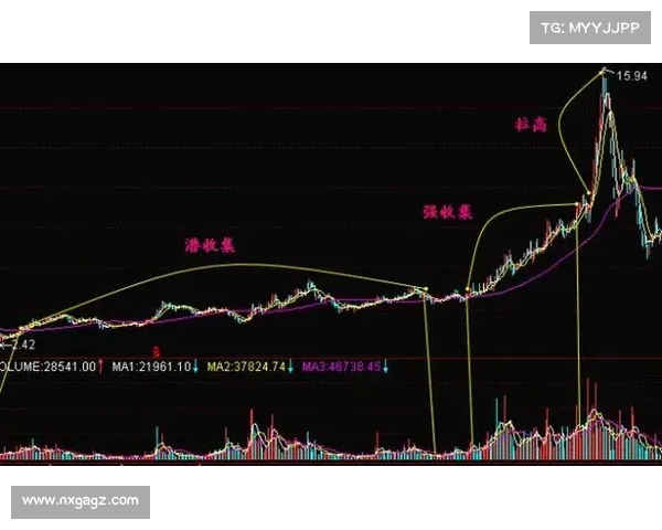 网球比赛精彩回放全程分析 解读每一个关键时刻和战术变化